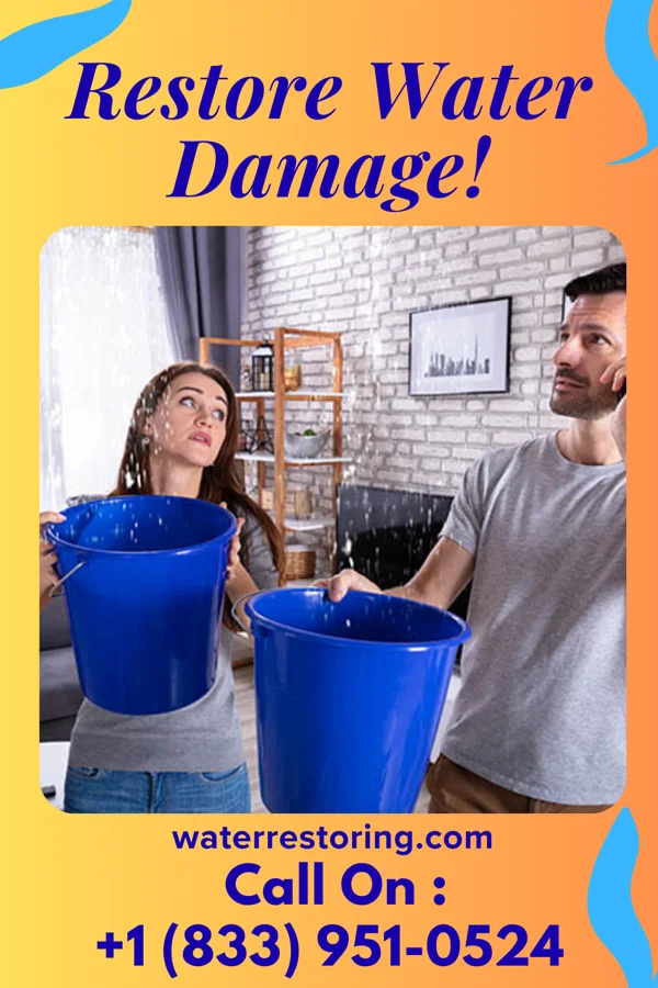 water restoration Stellar Water Damage Inc Rushville