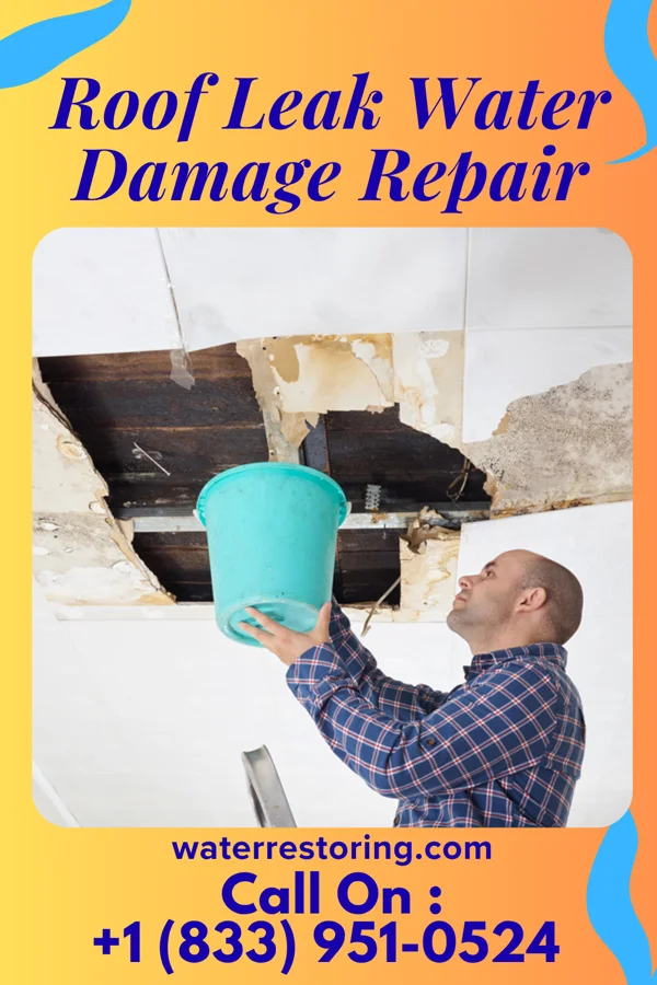 Roof Leak Water Damage Repair in Rushville, NE
