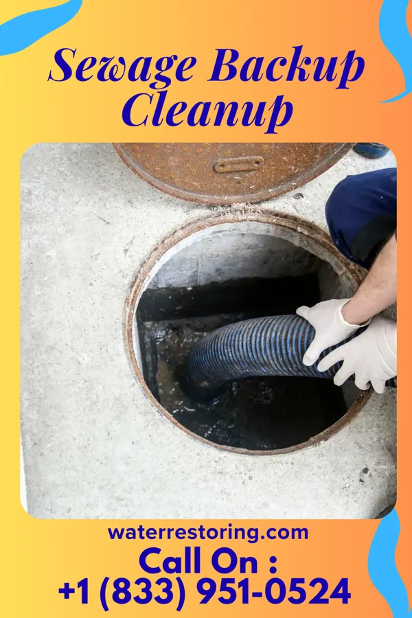 Sewage Backup Cleanup in Rushville, NE